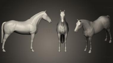 3D model Horse (STL)